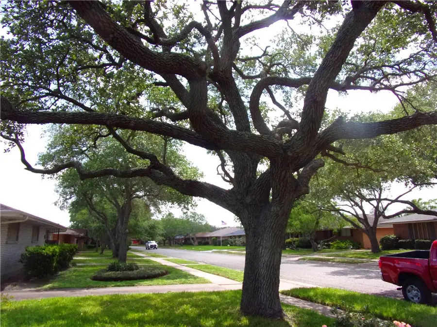 609 Brock Drive, Corpus Christi, TX 78412 - #2