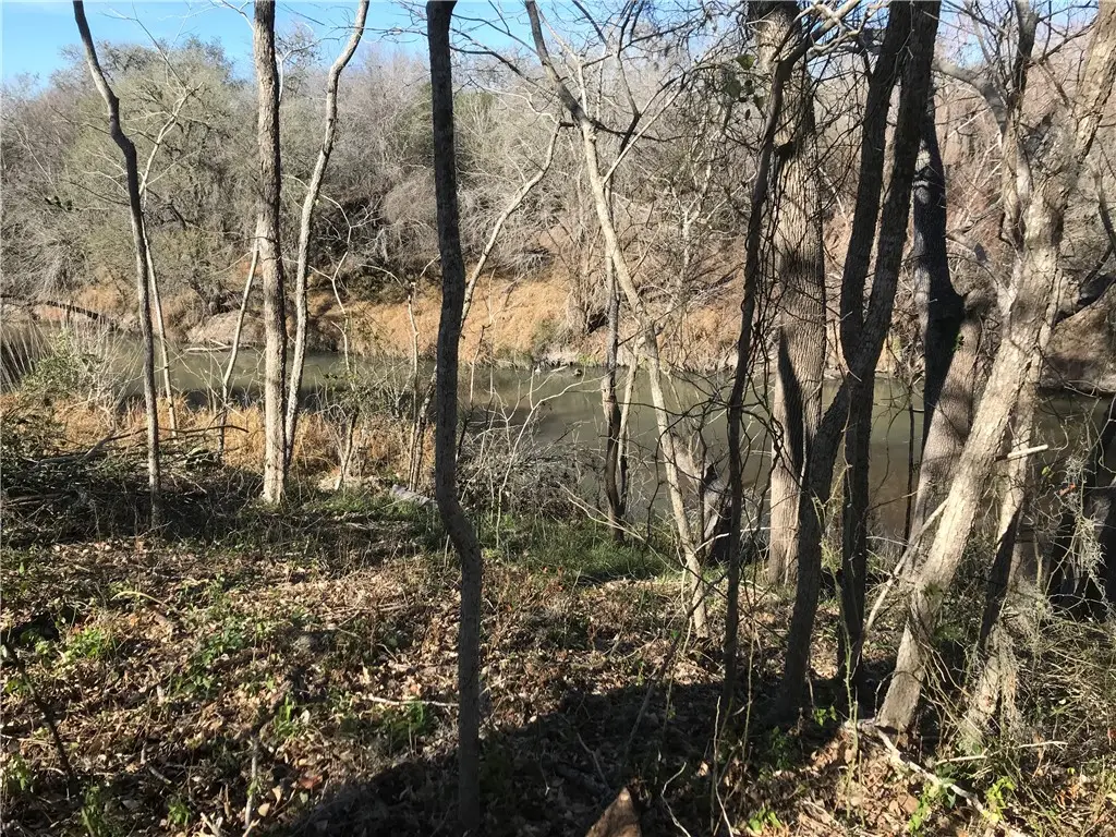 0000 Javelina Creek Drive, Robstown, TX 78380 - #1