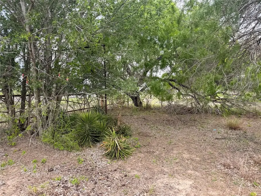 3250 Highway 281, George West, TX 78022 - #3