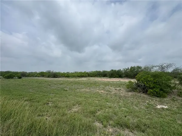 TBD Highway 359, Alice, TX 78332