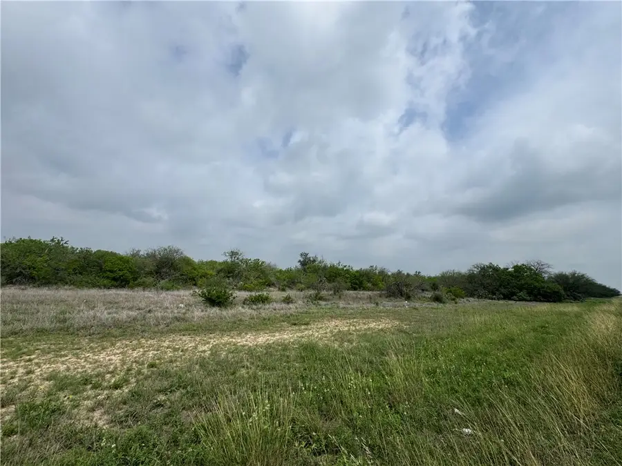 TBD Highway 359, Alice, TX 78332 - #2