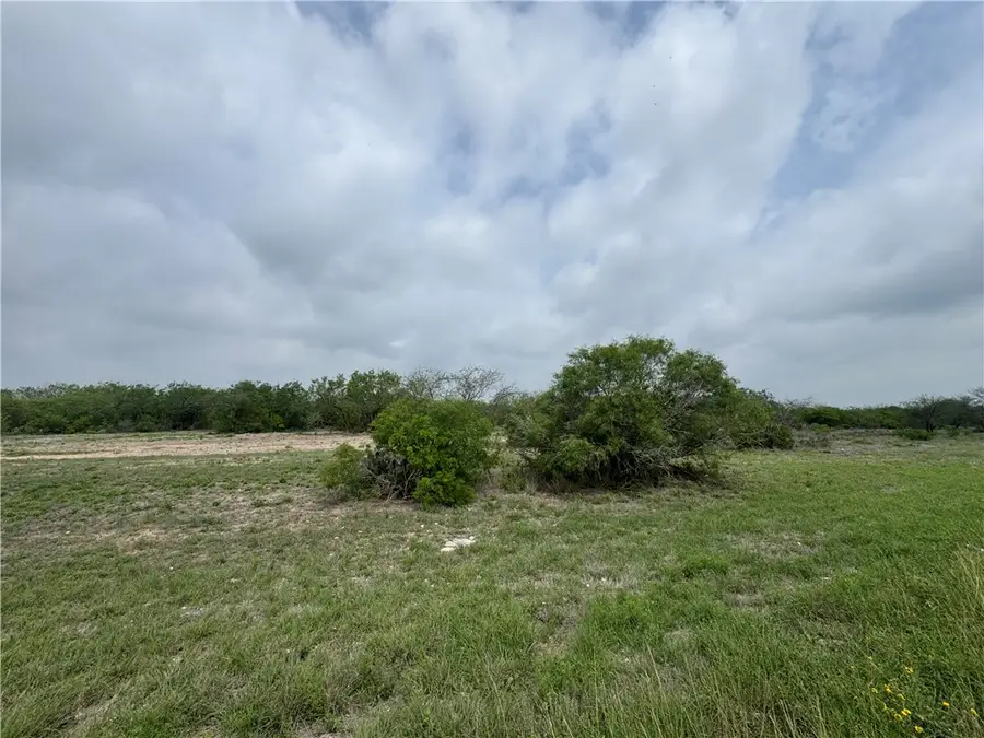 TBD Highway 359, Alice, TX 78332 - #3