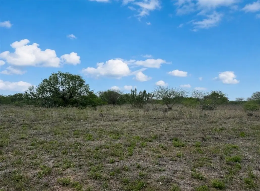 0 County Road 1701, Alice, TX 78332 - #1