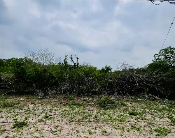 TBD Highway 359 Highway, Orange Grove, TX 78372