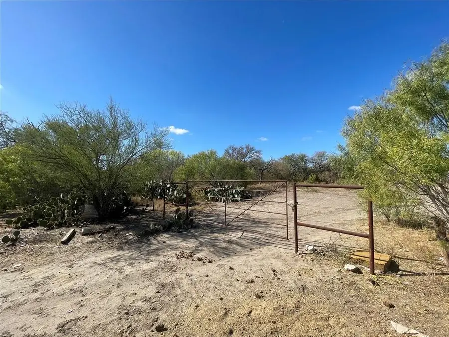 10 ACRES Cr 421, Christine, TX 78012 - #3
