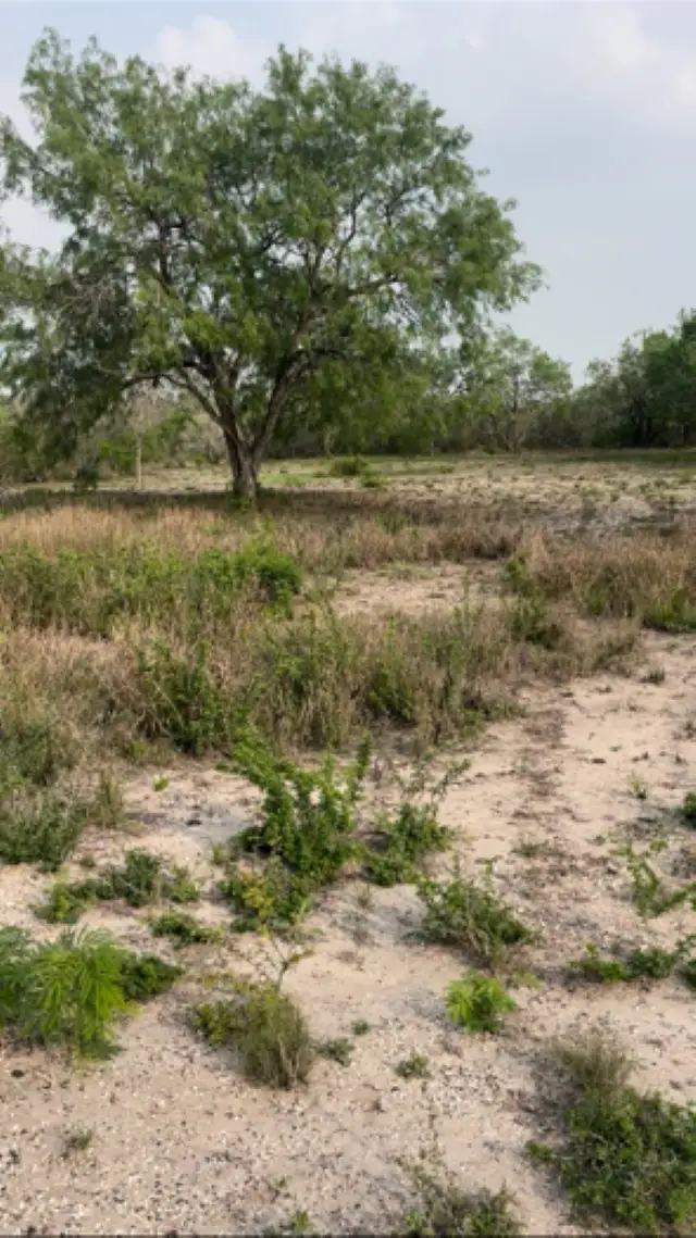 271 Fm 1358, Three Rivers, TX 78071 - #3
