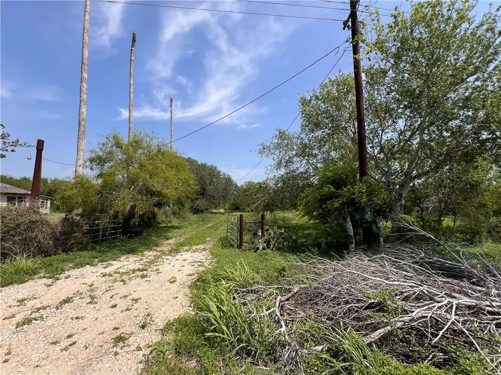 TBD County Rd 42, Robstown, TX 78380 - #1