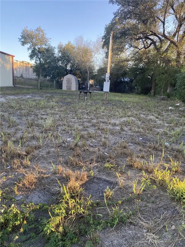 724 W Front Street, Alice, TX 78332