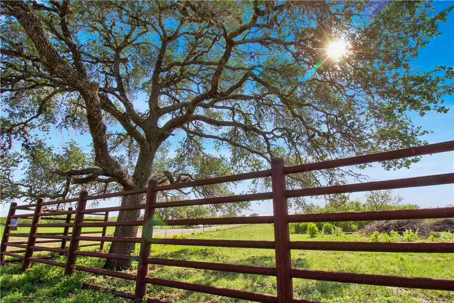 4552 Mineral Cemetery, Beeville, TX 78102 - #3