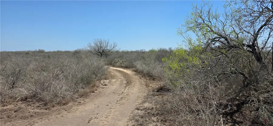 Address Withheld By Seller, Concepcion, TX 78349 - #2