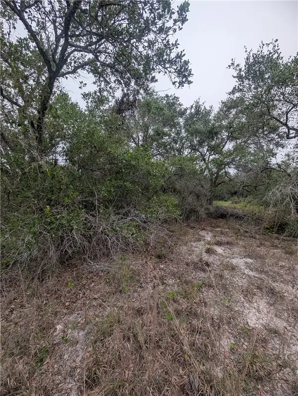0 S 8th, Aransas Pass, TX 78336