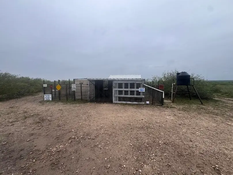 216 County Road 171, Alice, TX 78332 - #1