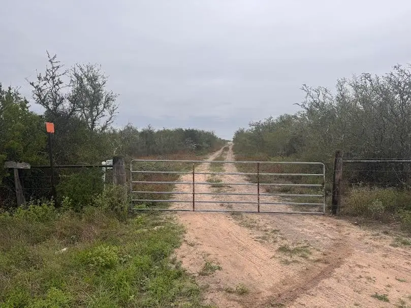 216 County Road 171, Alice, TX 78332 - #3