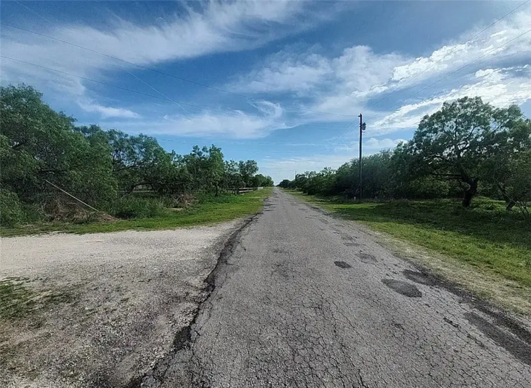 272 County Road 324, Alice, TX 78332 - #1