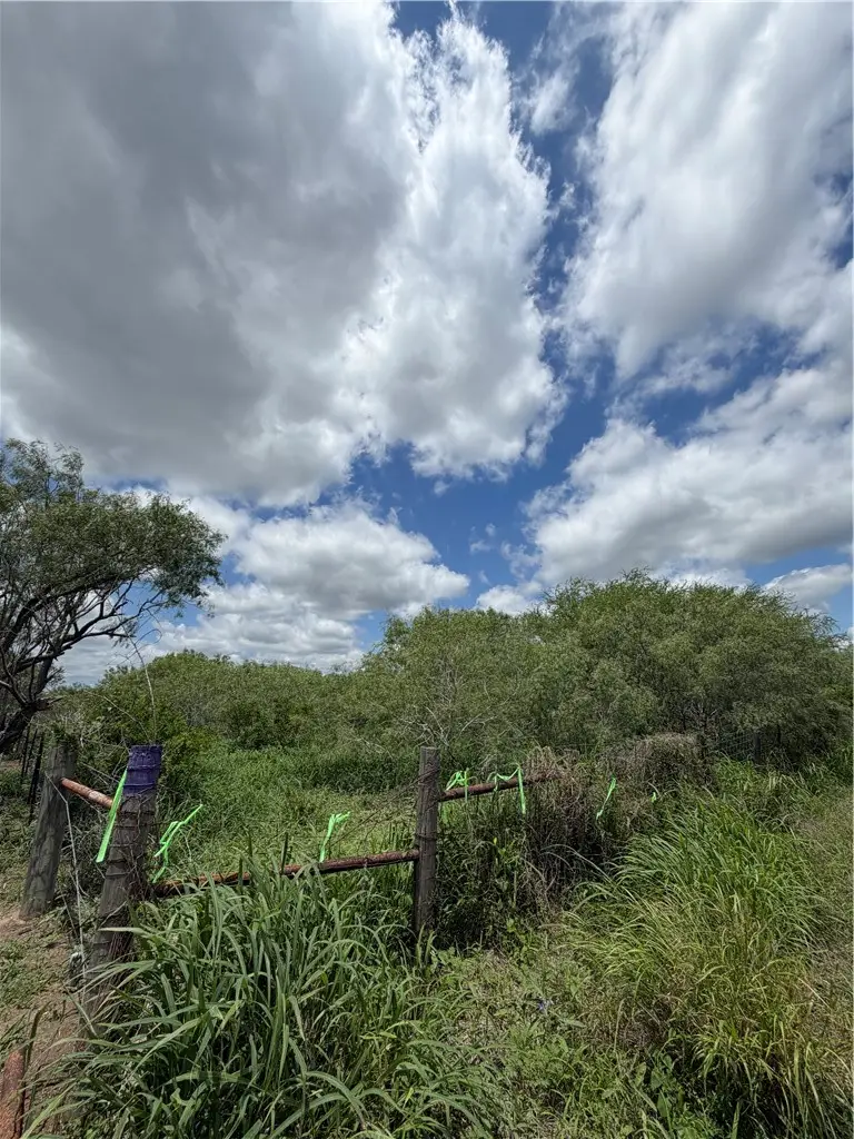 tbd County Road 137, Alice, TX 78332 - #2