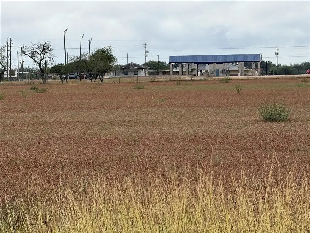 2003 S Cameron Street, Alice, TX 78332 - #1