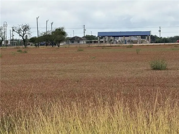 2003 S Cameron Street, Alice, TX 78332