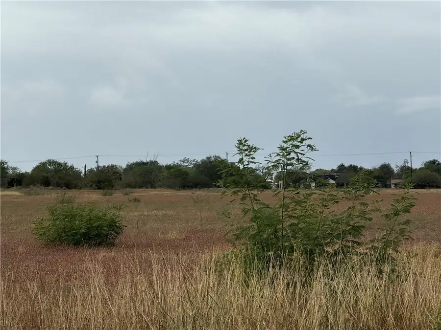 2003 S Cameron Street, Alice, TX 78332 - #2