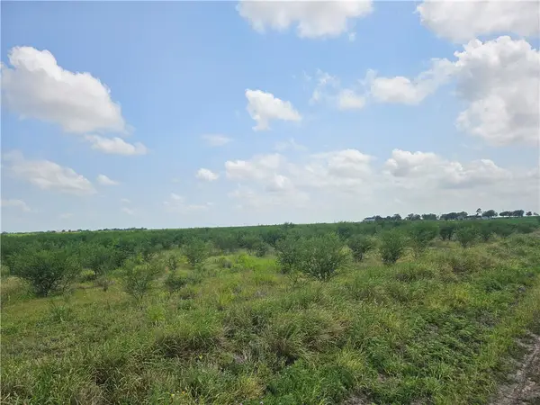 0 Cr 364, Sandia, TX 78383