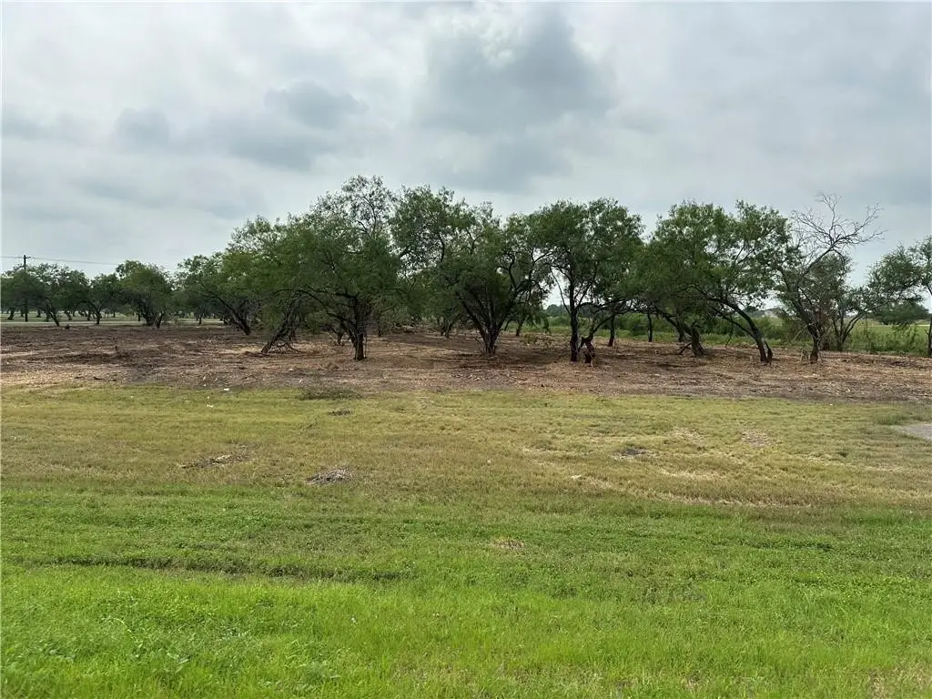 00 E Hwy 44 X Cr 341 Highway, Alice, TX 78332 - #1