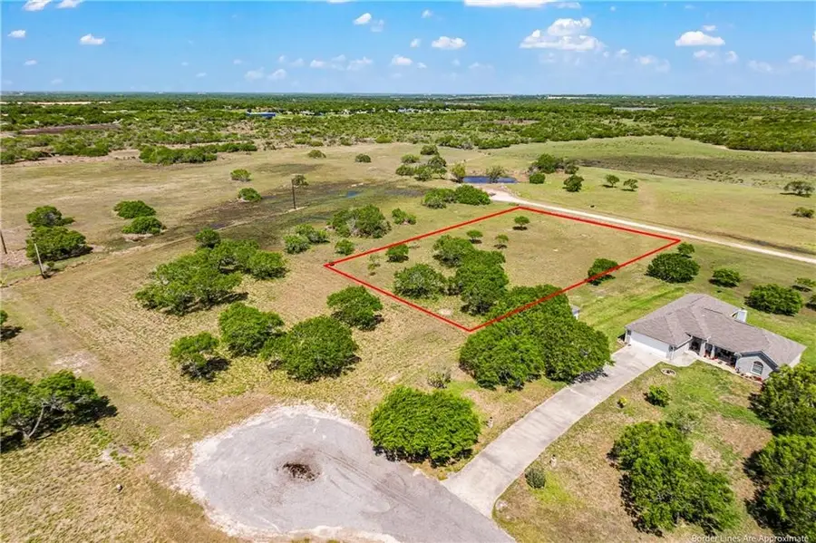 00 T-head Drive, Riviera, TX 78379 - #2