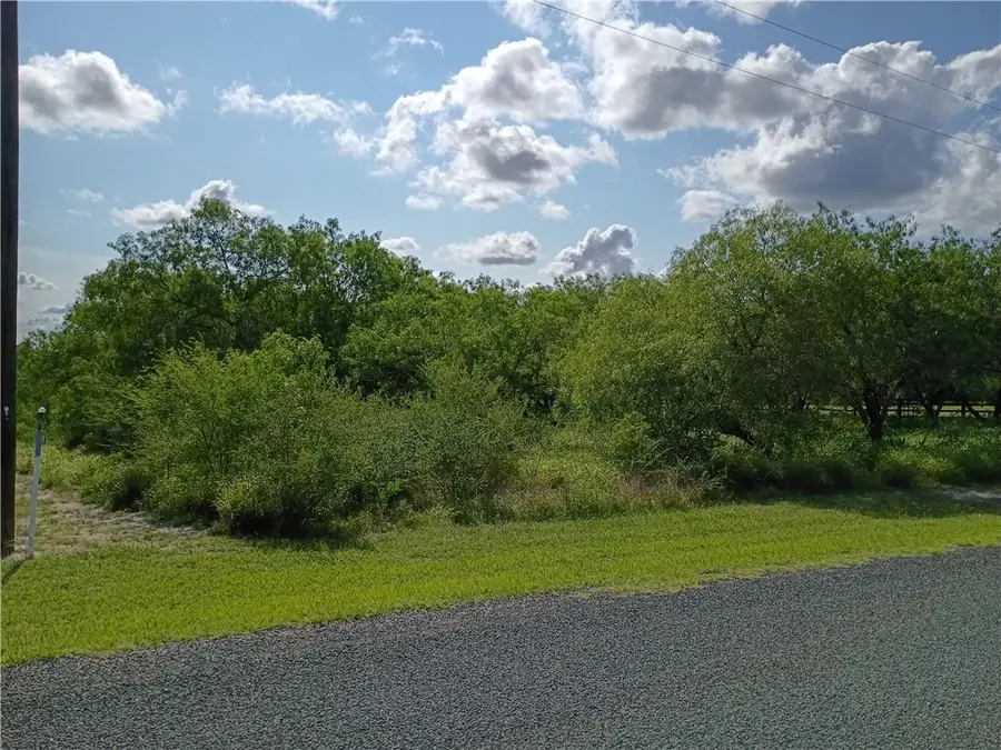 108 Swinney Switch, Mathis, TX 78368 - #3