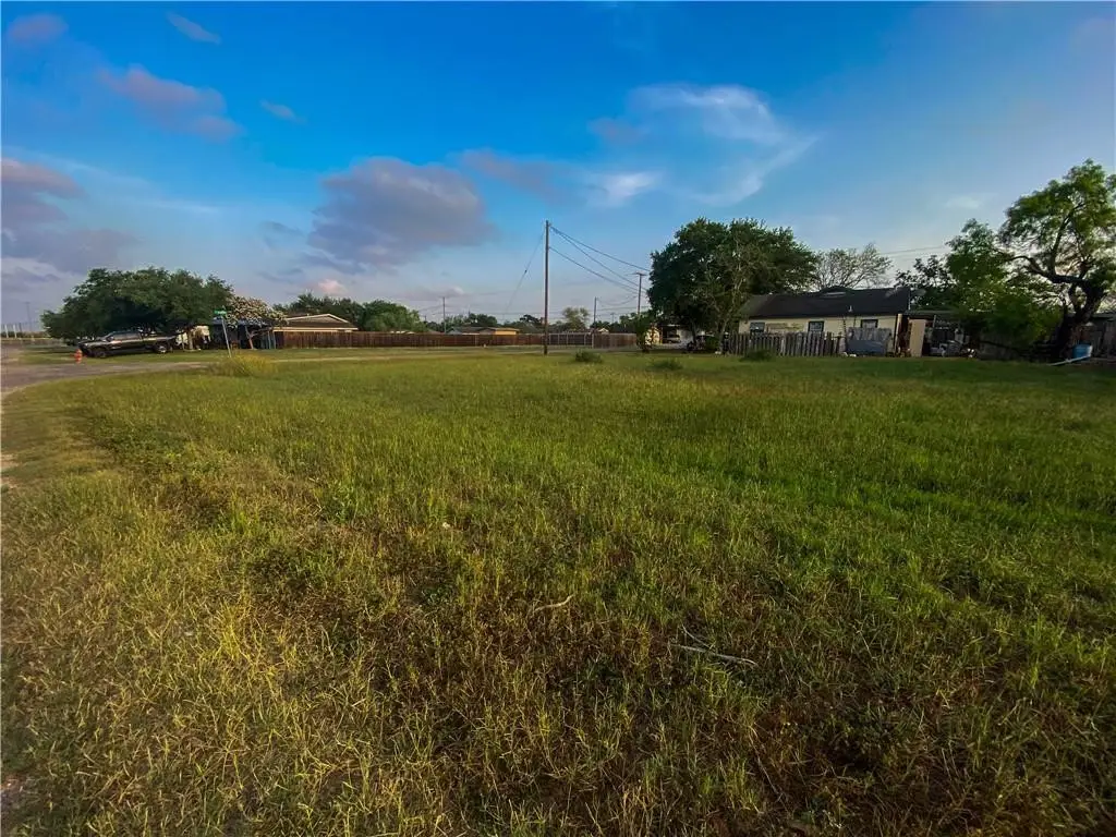 0 E 3rd St & N Grape Ave Street, Bishop, TX 78343 - #1