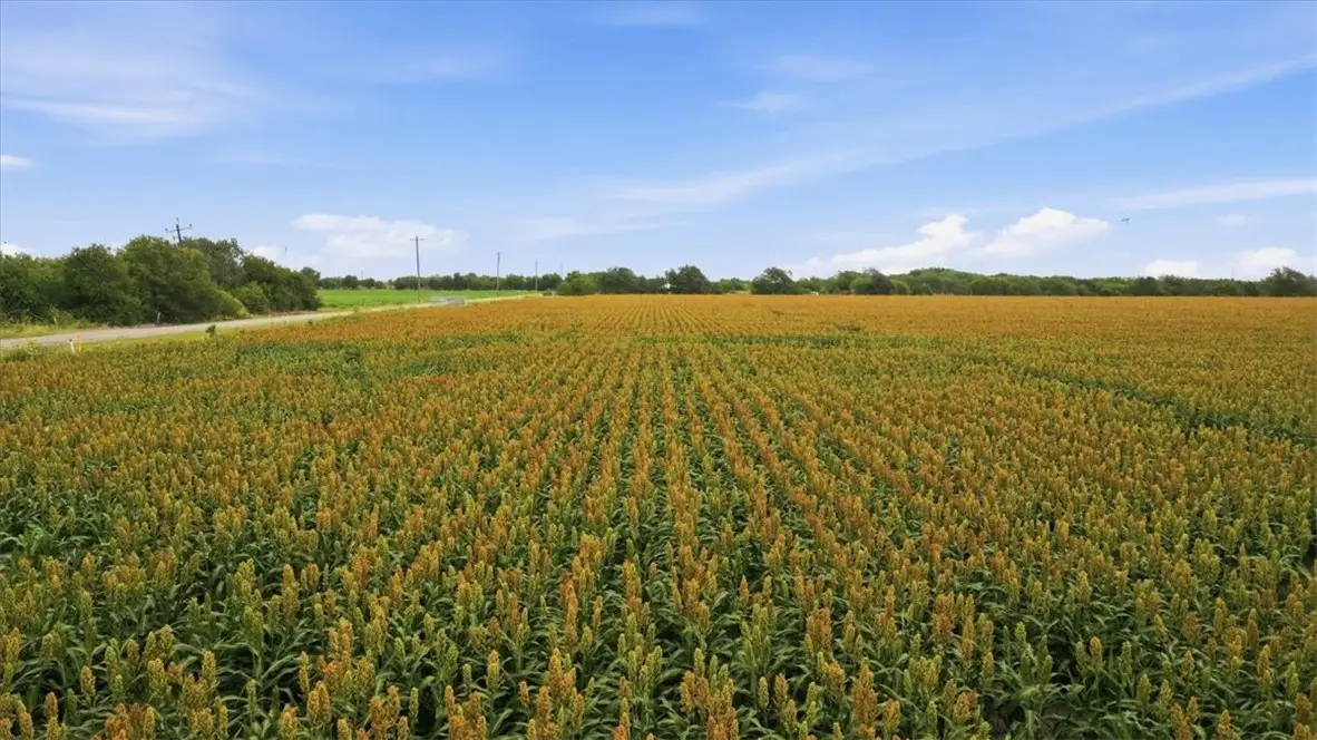 4380 Cr 3667, Taft, TX 78390 - #1
