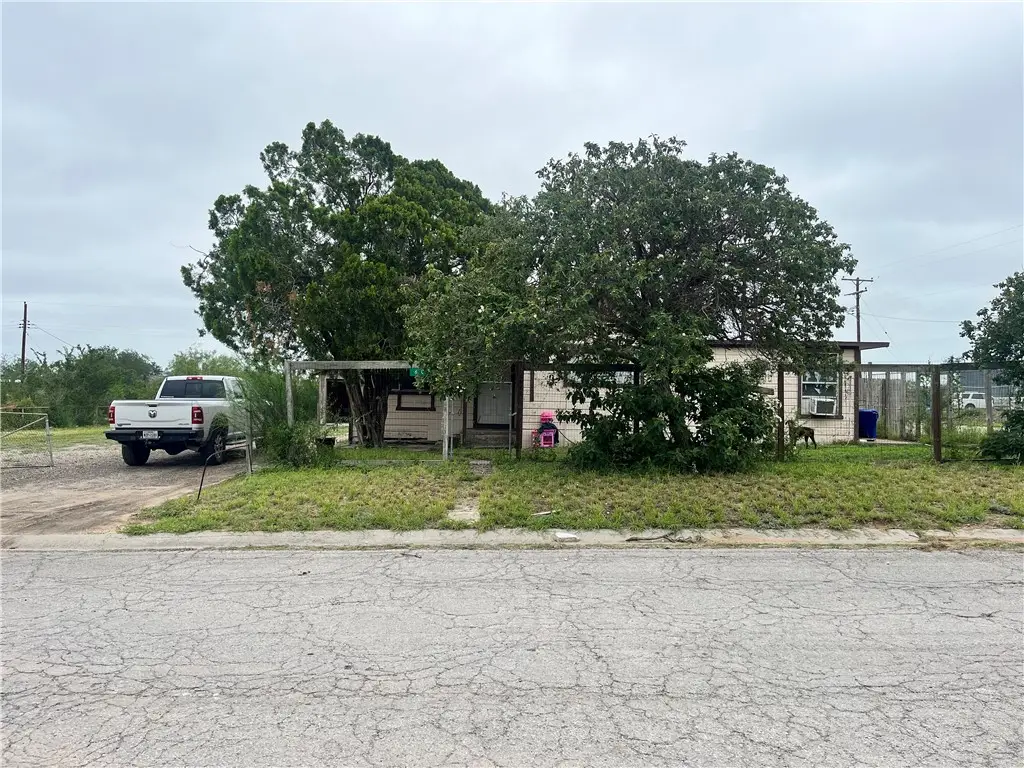 602 Richard Cruz Street, Freer, TX 78357 - #1