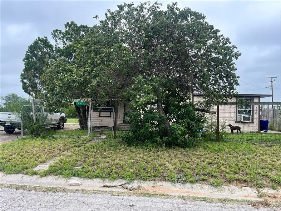 602 Richard Cruz Street, Freer, TX 78357 - #2
