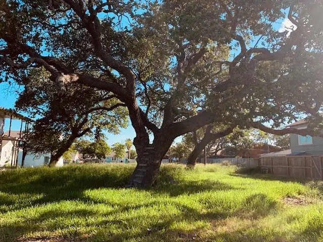 138 S Houston, Aransas Pass, TX 78336-2500 - #3