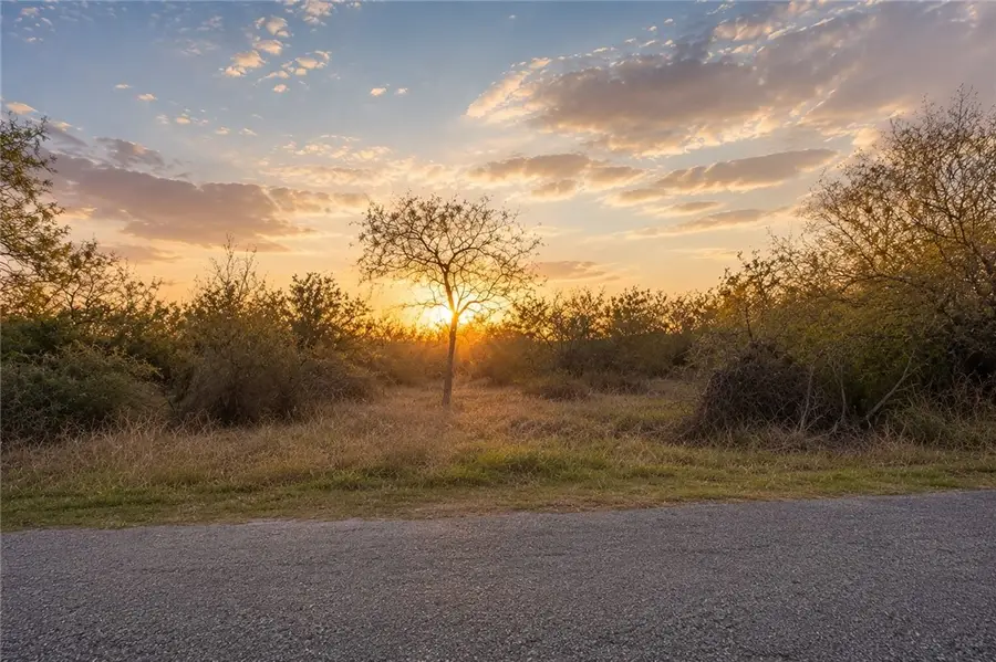 244 N County Road 1032, Kingsville, TX 78363 - #3