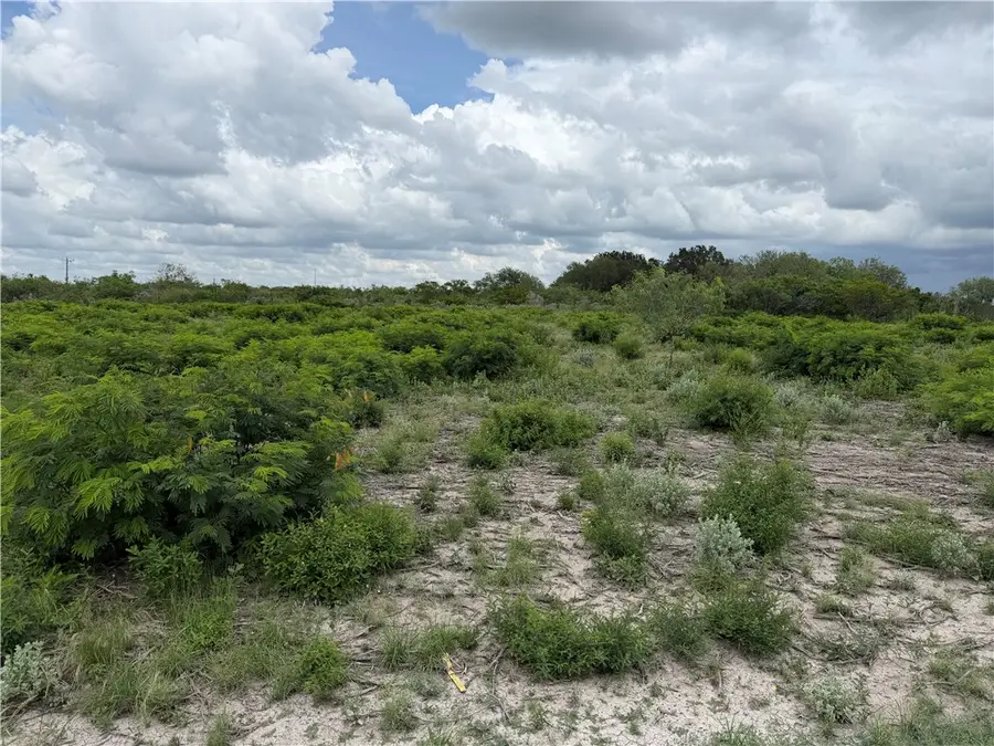120 Quail Ridge, Three Rivers, TX 78071 - #3