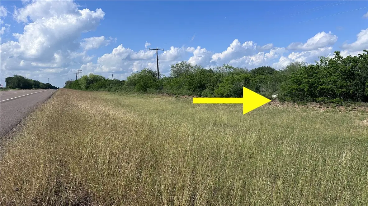 00 N Highway 281, Orange Grove, TX 78372 - #1