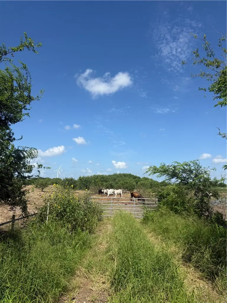 7088 Fm 631, Taft, TX 78390 - #1