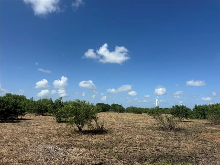 7088 Fm 631, Taft, TX 78390 - #2
