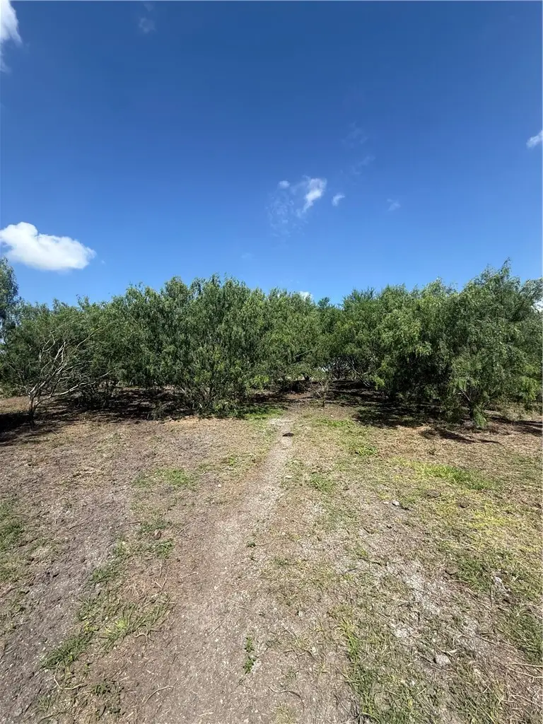 7088 Fm 631, Taft, TX 78390 - #3