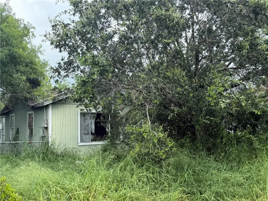 310 N Avenue F, Bishop, TX 78343 - #2