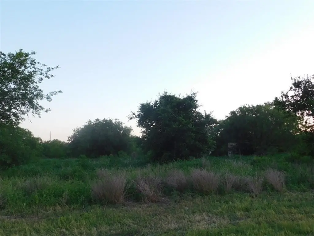 1500 Easterling/goliad St. Street, Alice, TX 78332 - #1