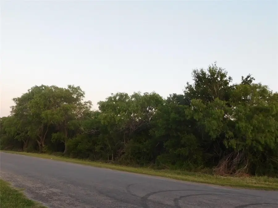 1500 Easterling/goliad St. Street, Alice, TX 78332 - #2
