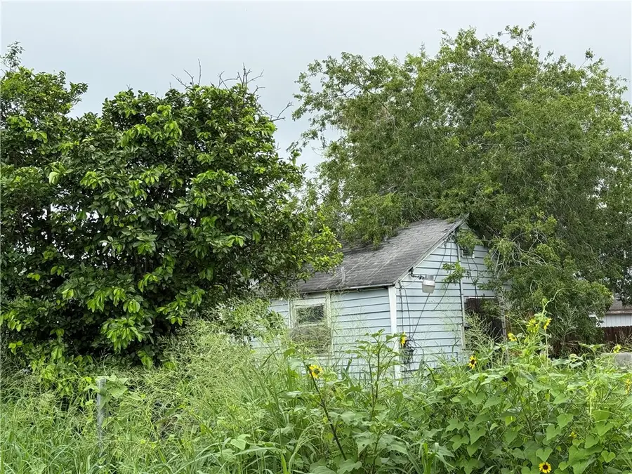 324 W Avenue B, Robstown, TX 78380 - #2
