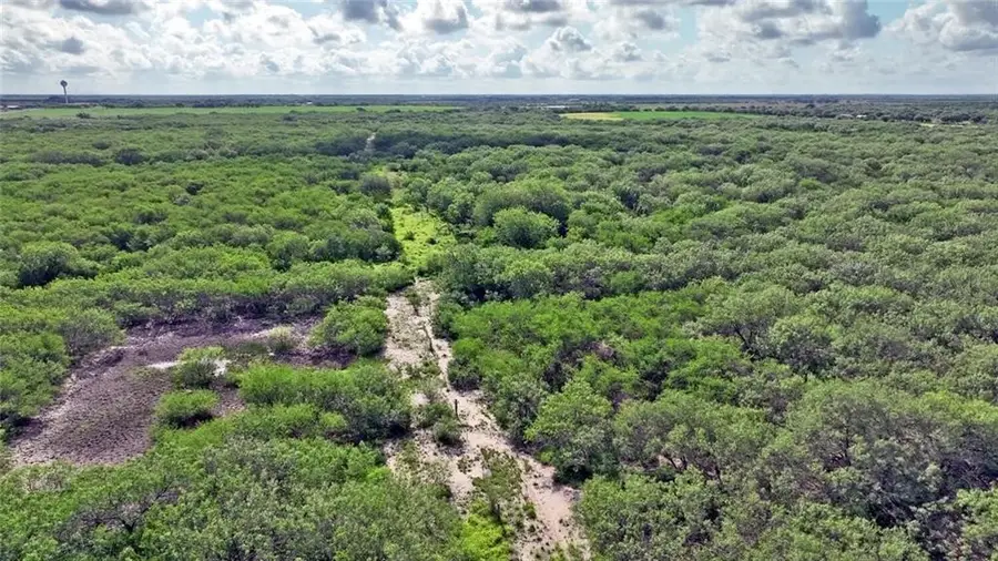 0 Cr 2170 W, Kingsville, TX 78363 - #2