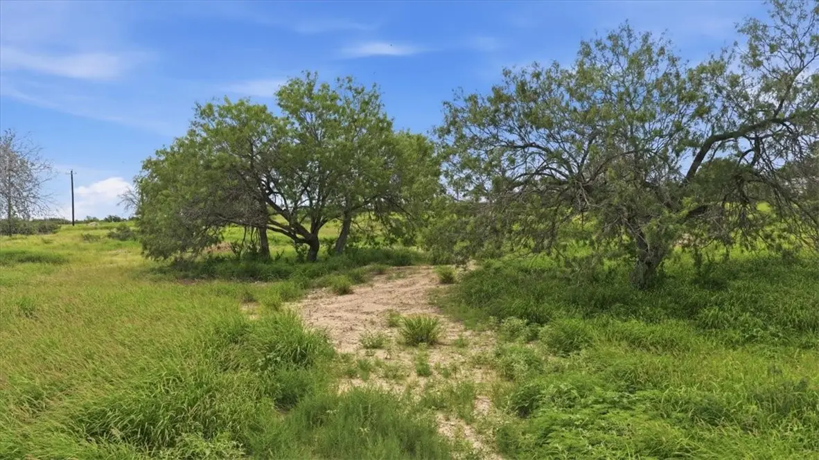 3187 Highway 72, Three Rivers, TX 78071 - #1