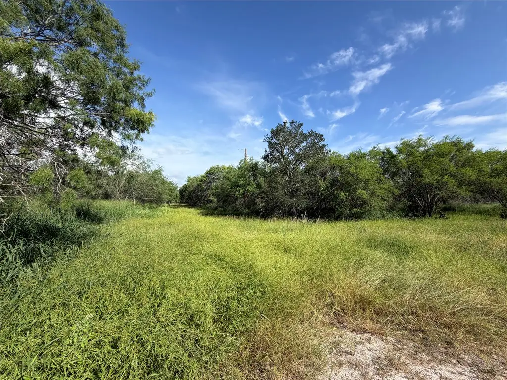 301 Paisano Dr., George West, TX 78022 - #1