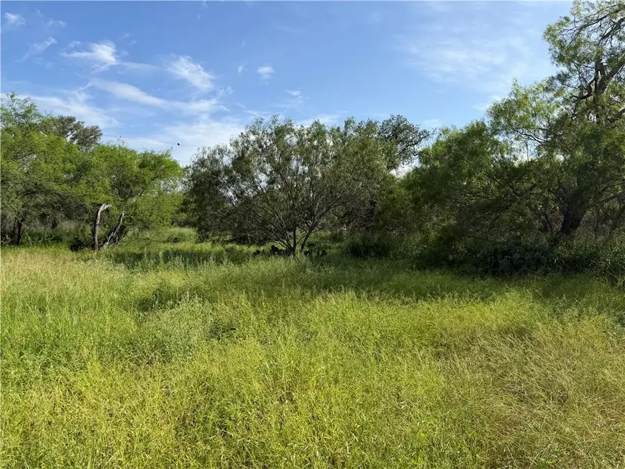 301 Paisano Dr., George West, TX 78022 - #3