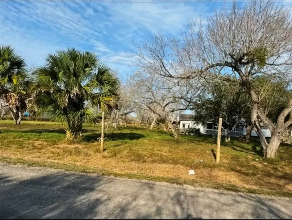 8841 County Road 614, Skidmore, TX 78389 - #1