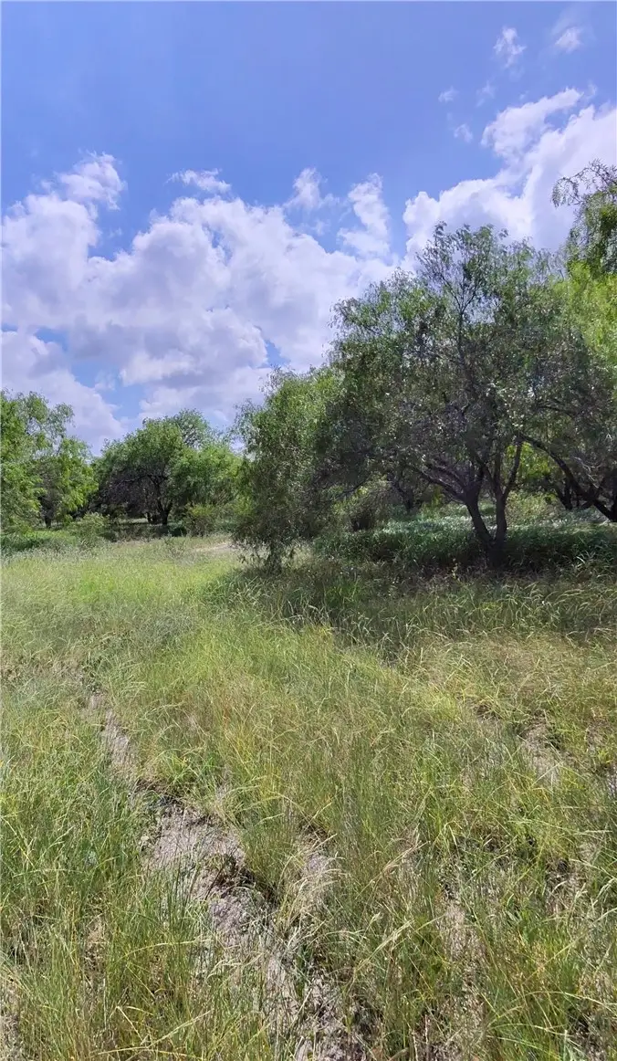 14417 County Road 1478, Odem, TX 78370 - #3