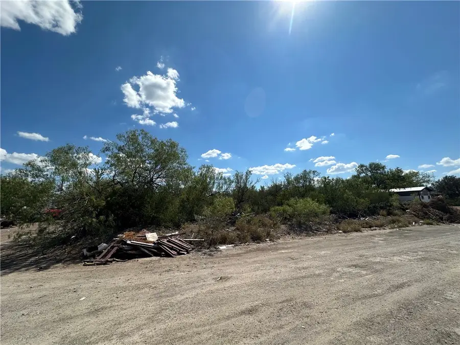 0 Humble Street, Freer, TX 78357 - #3
