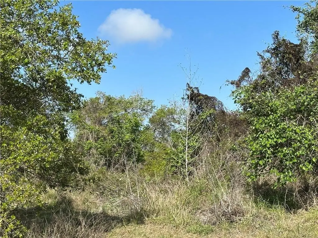 00 N Saunders, Aransas Pass, TX 78336 - #1