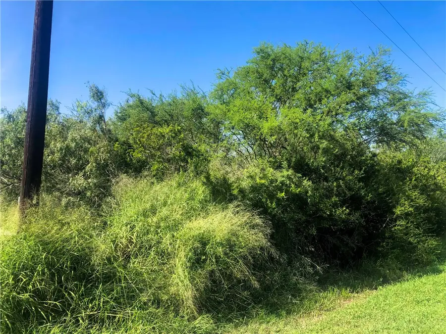 00 Cr 619, Skidmore, TX 78389 - #3